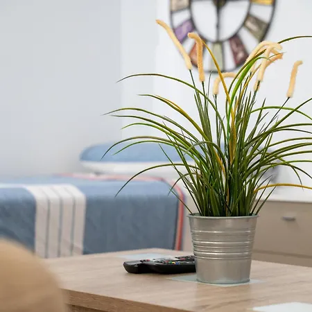 Gandhi By United Renters * Torrevieja